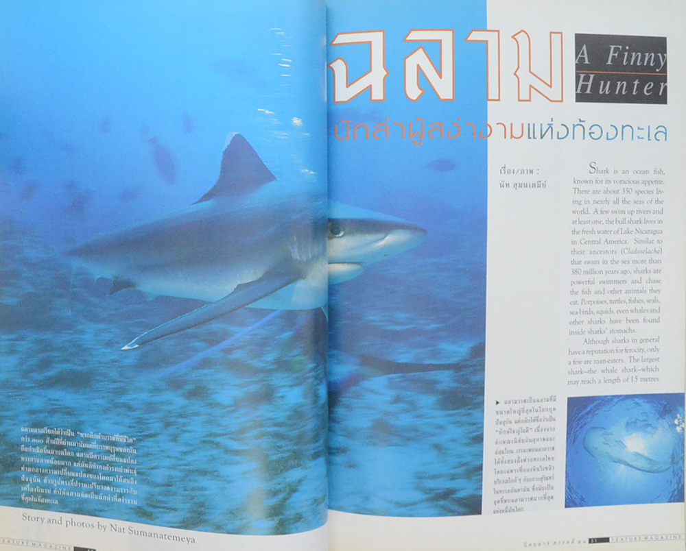 สารคดี ปีที่ 14 ฉบับที่ 160 มิถุนายน 2541