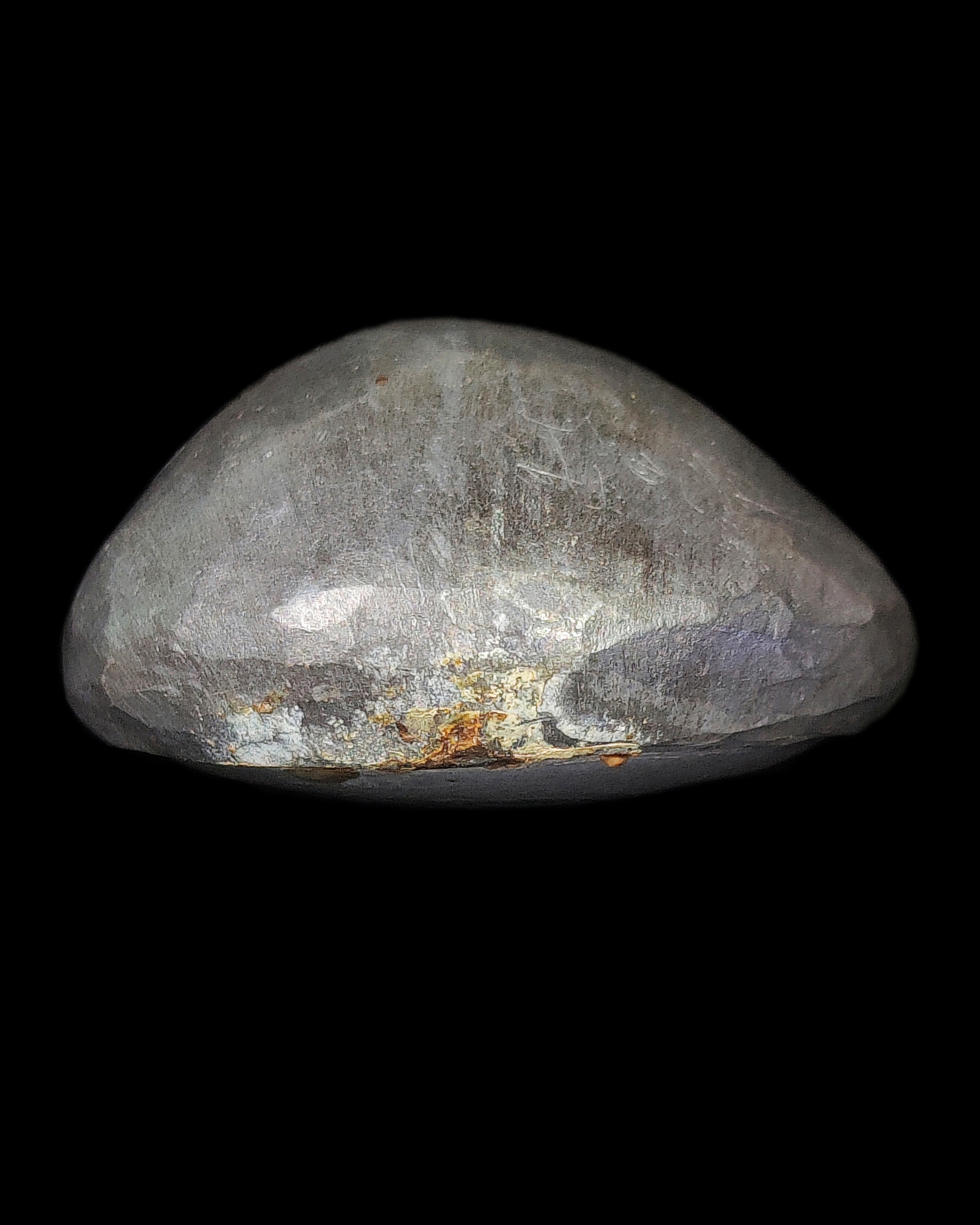 เบี้ยแก้เปลือย หลวงปู่เจือ ปิยสีโล วัดกลางบางแก้ว มีจารรอบเบี้ย ลายมือหลวงปู่เจือโดยตรง สภาพสวยเดิมๆ