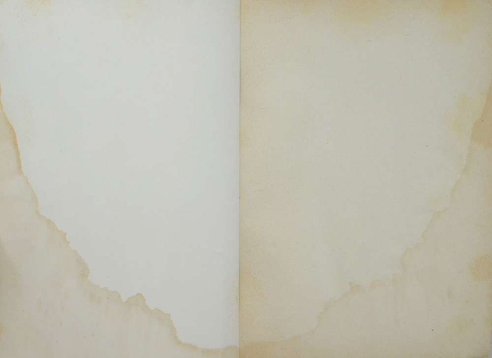 หลายรส (ตำหนิ)