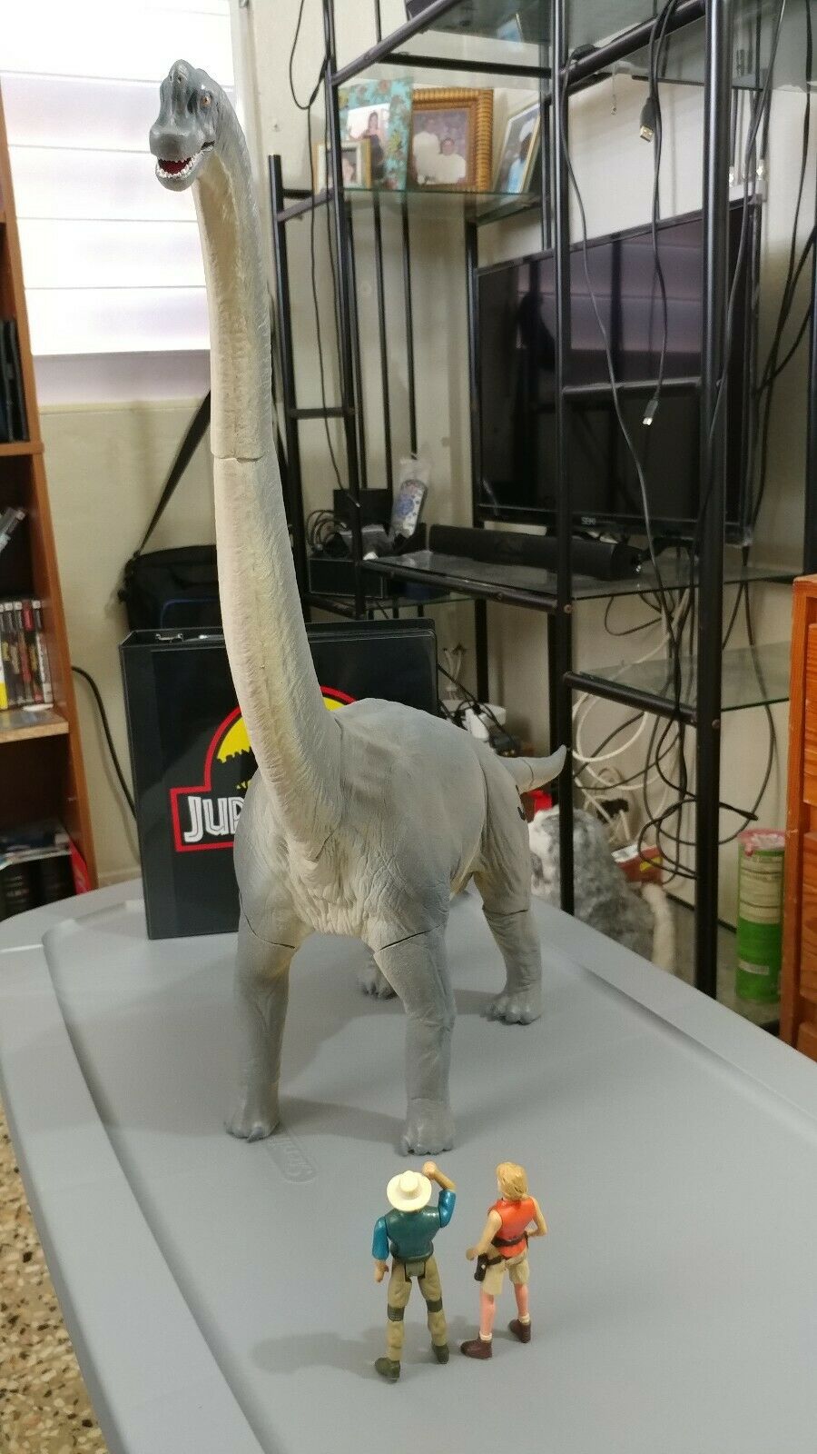 Brachiosaurus 1/30 dinosaur