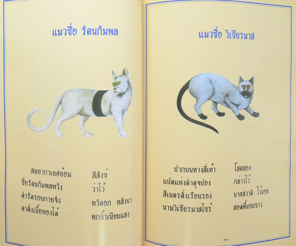โชติปาลเถรปูชา อนุสรณ์ 100 ปี พระเทพสุธี (พรหม โชติปาโล ป.ธ.7) (ลักษณะแมวไทย)