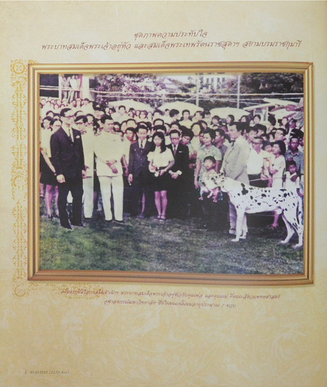 ชุดปัญจภาคีเหรียญทองคำ (หนังสือขอบเดินทอง)