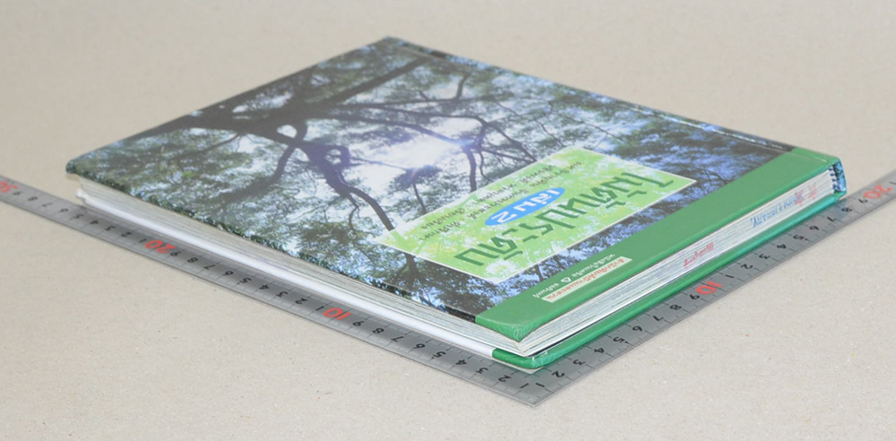 ไม้ต้นประดับ (เล่ม 2) (ขายตามสภาพ)