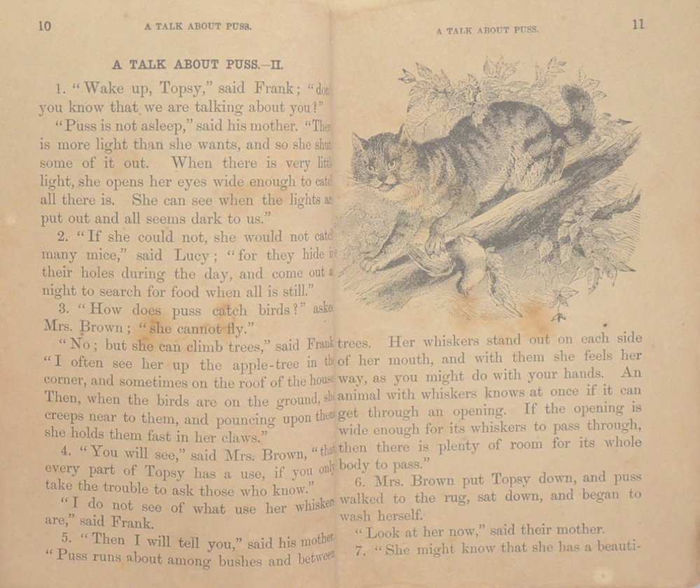 THE ROYAL STAR READERS No. 2 (ขายตามสภาพ)