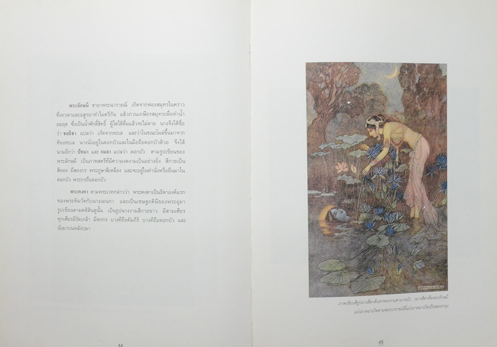 บัว ราชินีแห่งไม้น้ำ (ขายตามสภาพ)