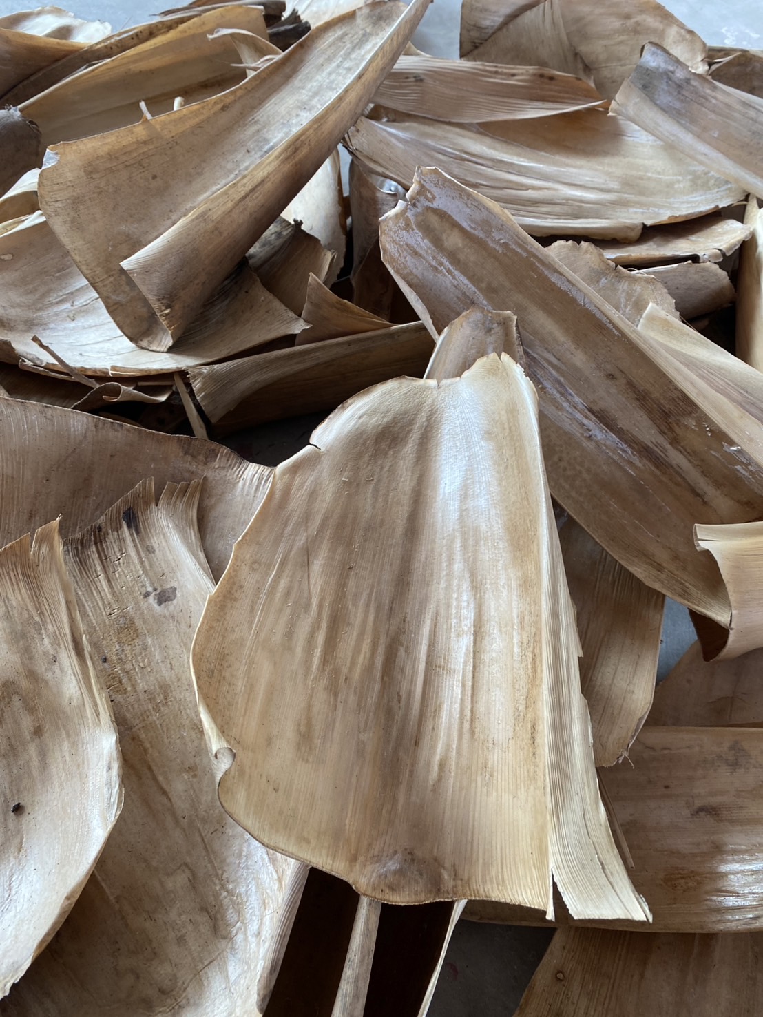 กาบใบไผ่แห้ง กาบไผ่ทำภาชนะ bamboo