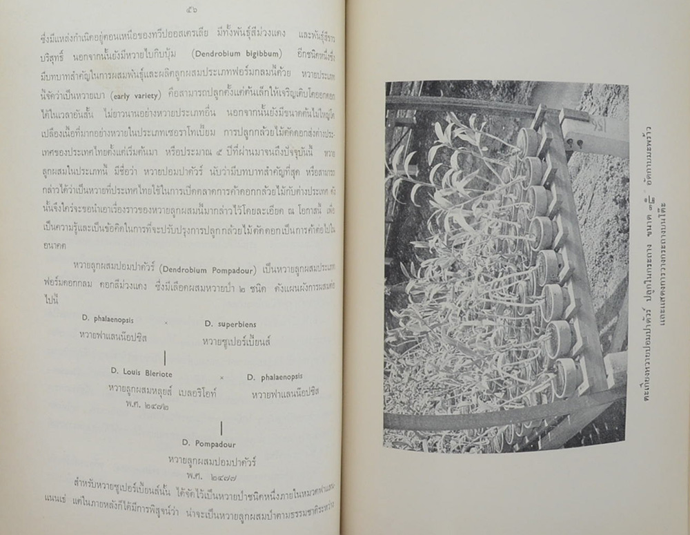 ธรรมกถา
