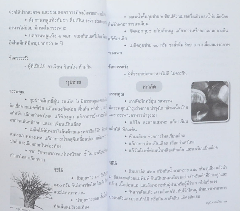 สมุนไพรต้านโรค