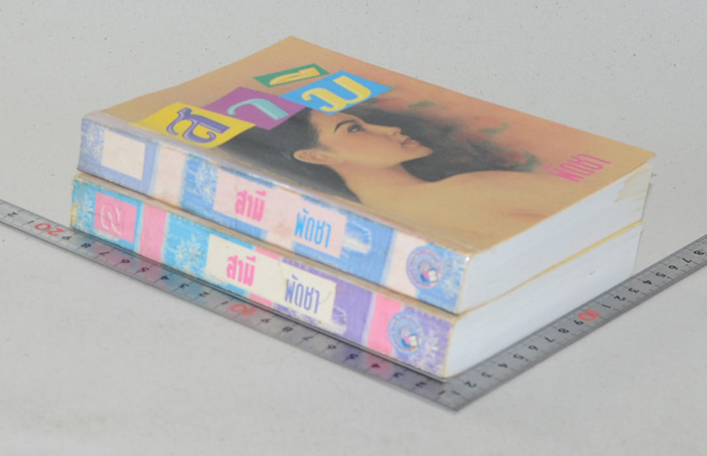 สามี (2 เล่มจบ)