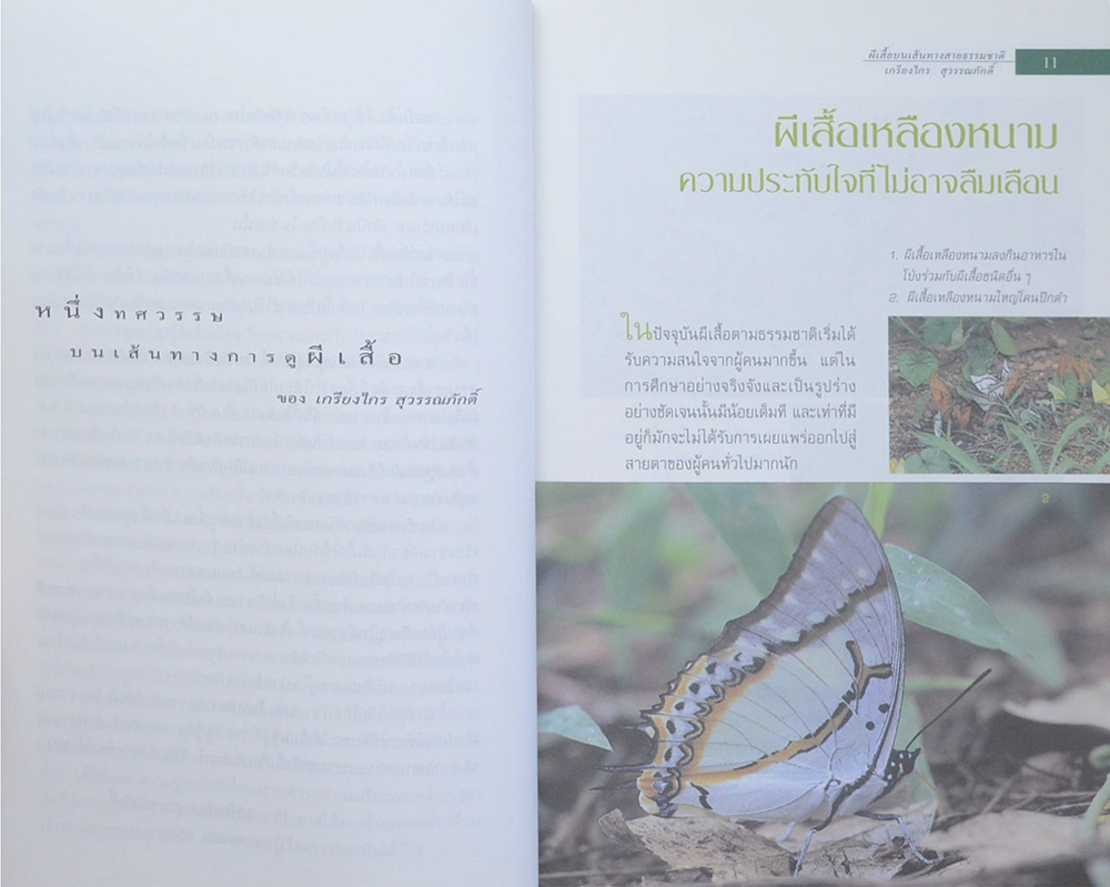 ผีเสื้อ บนเส้นทางสายธรรมชาติ