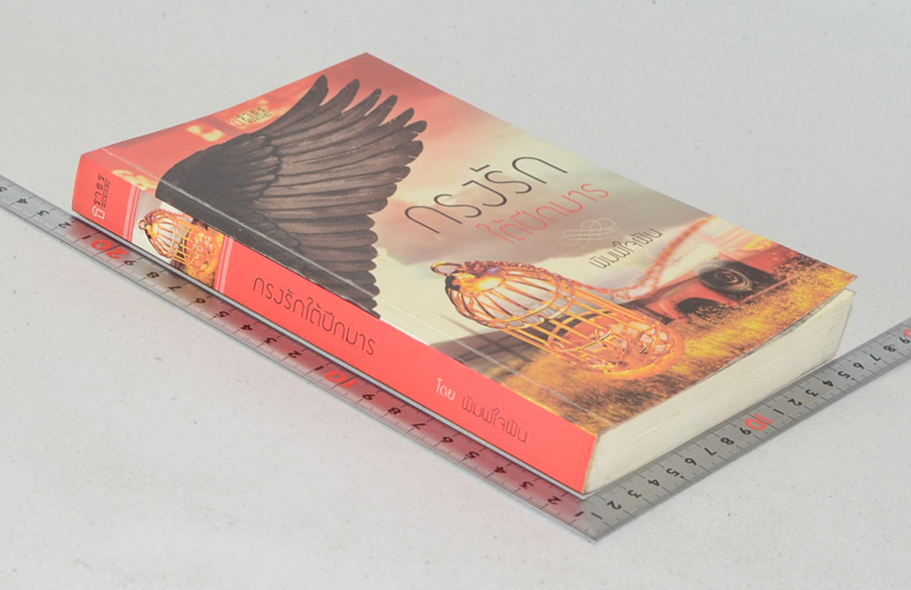 กรงรักใต้ปีกมาร (เล่มเดียวจบ)