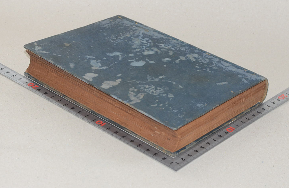 บรรทึกประจำวันการท่องเที่ยวของข้าพเจ้า