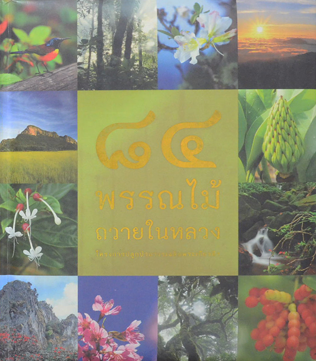 84 พรรณไม้ถวายในหลวง (มีเมล็ดพืช 3 ชนิดให้ทดลองปลูก / ขายตามสภาพ)