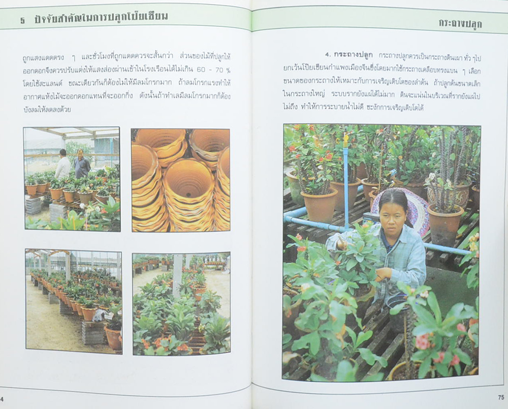 คู่มือโป๊ยเซียน (ขายตามสภาพ)