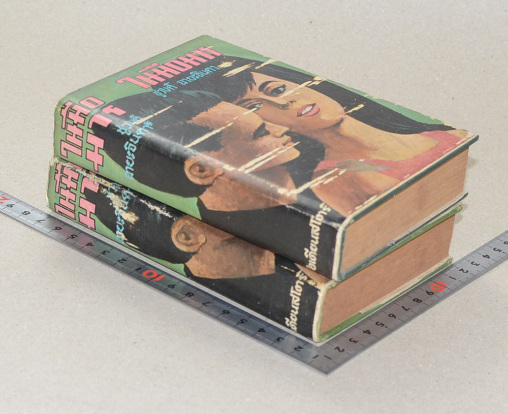 ในมือมาร (2 เล่มจบ)