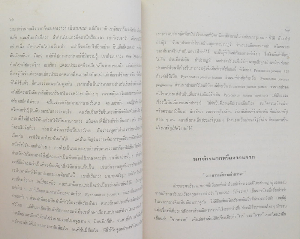 รองศาสตราจารย์ สุพันธุ์ โตสุนทร (นก)