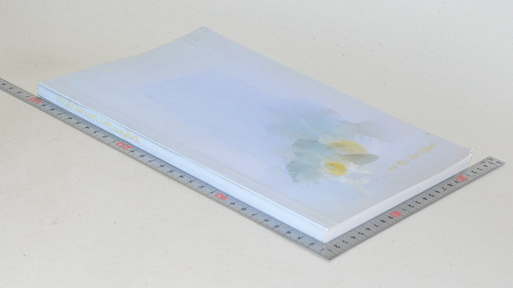 นางช้อย นันทาภิวัฒน์ (พุทธศาสนาในพงศาวดารจีน) (ขายตามสภาพ)