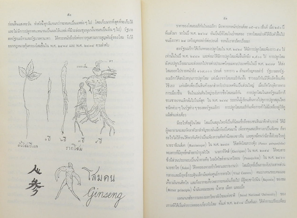 นายเกษม ปังศรีวงศ์ (โสมยาสมุนไพรล้ำค่าของจีน)