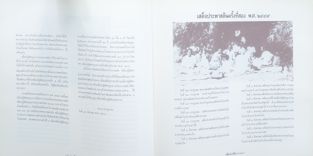 เพื่อนเที่ยว (ขายตามสภาพ)