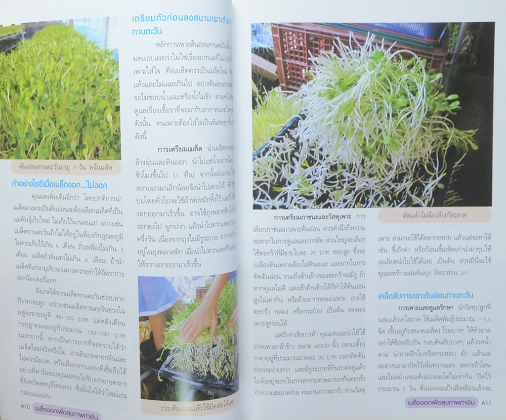 เมล็ดงอก...เพื่อสุขภาพทำเงิน