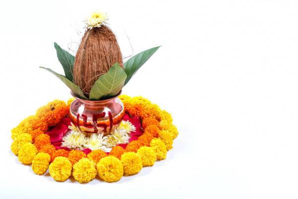 มะพร้าวทึนทึก เพื่อประกอบพิธี (สั่งจองล่วงหน้า)