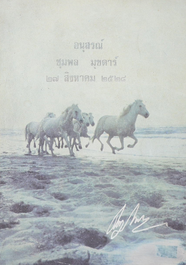 ชุมพล มุขดาร์ (โรคดีซ่าน)