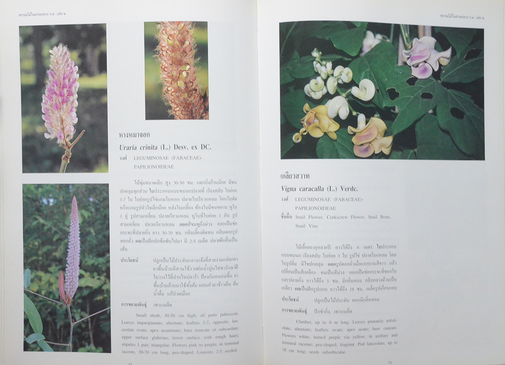 พรรณไม้ในสวนหลวง ร.9 (เล่ม 2 / ขายตามสภาพ)
