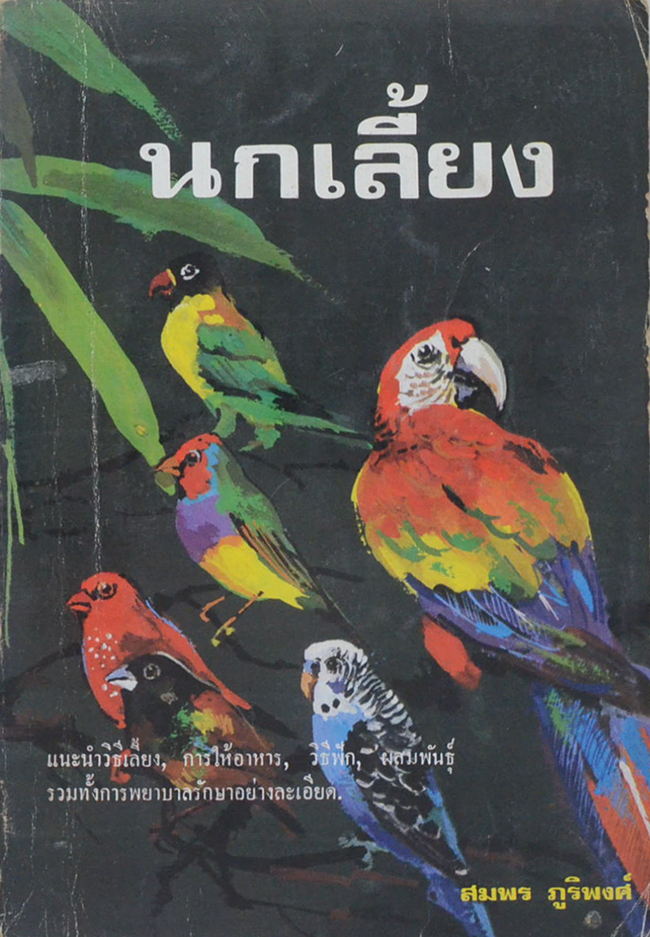 นกเลี้ยง