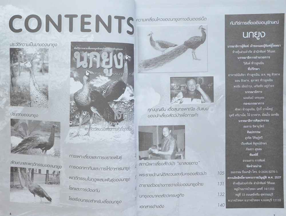 นกยูง (ขายตามสภาพ)