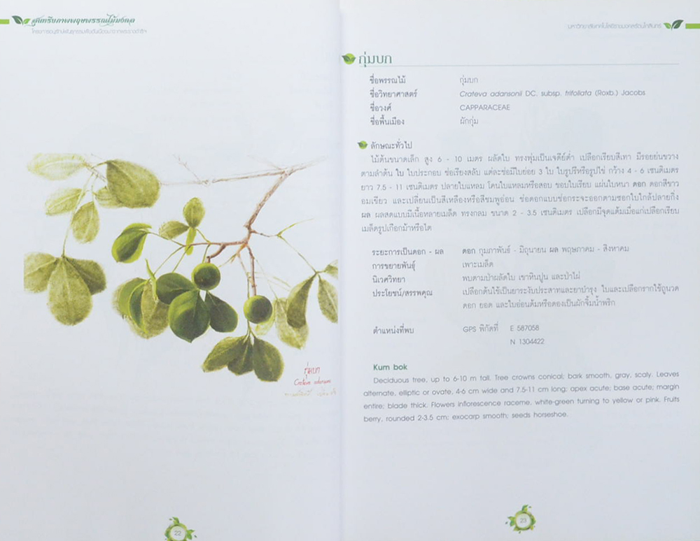 สุนทรียภาพพฤกษพรรณไม้มงคล