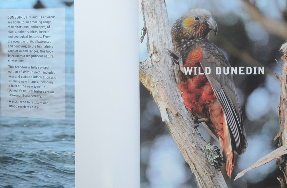 WILD DUNEDIN