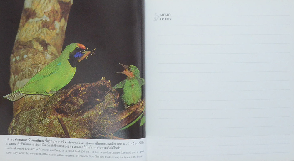 birds นก (สมุดบันทึก)