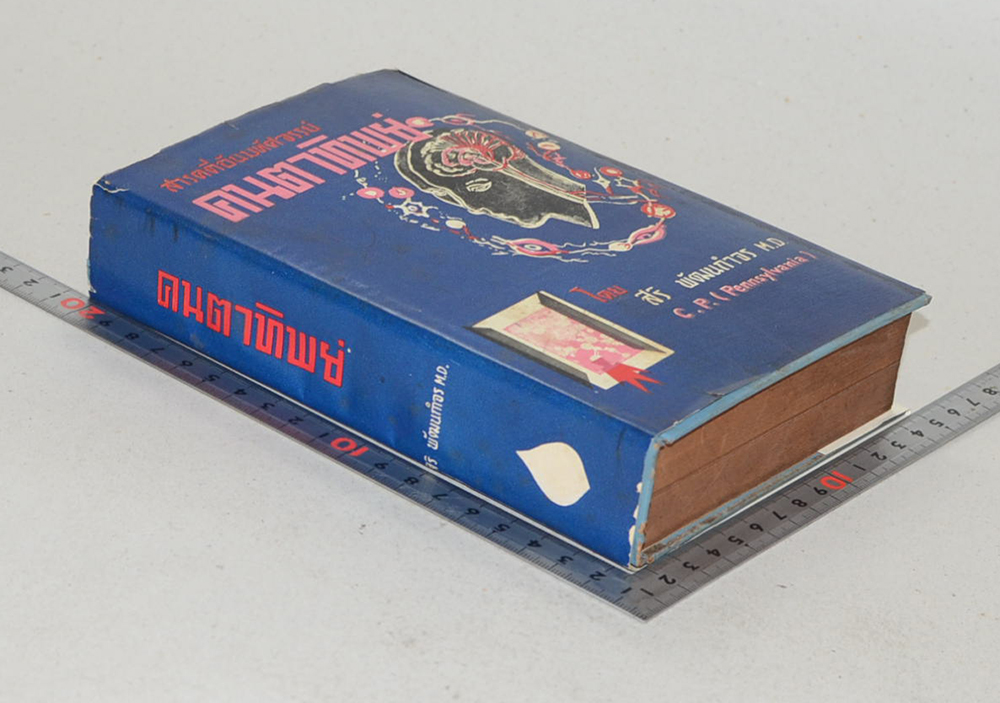 คนตาทิพย์