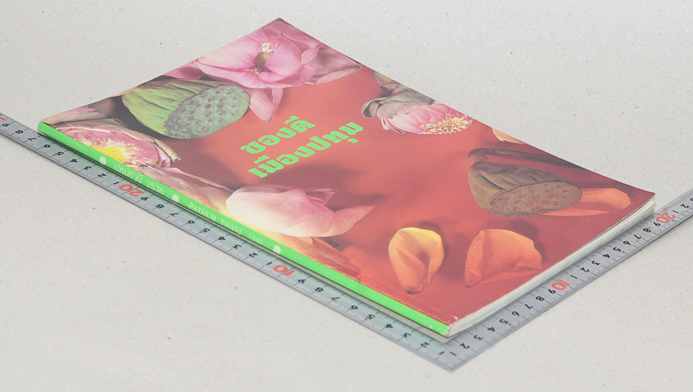 ของดีเมืองปทุม