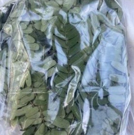 ใบมะขาม ใบมะขามใบใหญ่สด Tamarind leaf