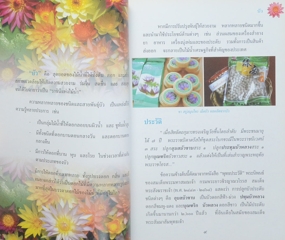 สารานุกรมไทยสำหรับเยาวชน ฉบับเสริมการเรียนรู้ (เล่ม 13)