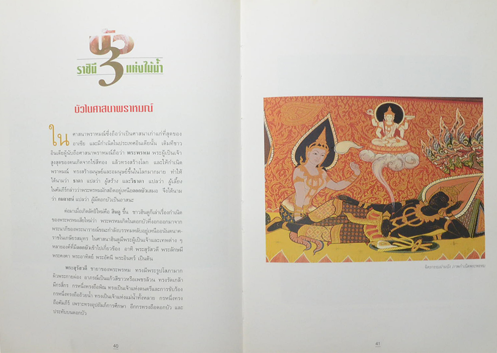 บัว ราชินีแห่งไม้น้ำ (ขายตามสภาพ)