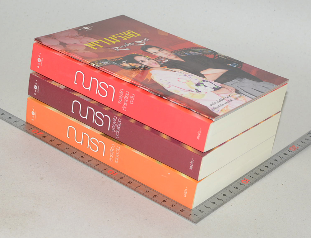 นวนิยาย ชุด Rising Sun (3 เล่ม / 3 เรื่อง / แถมหนังสือเบื้องหลังการถ่ายทำละคร)