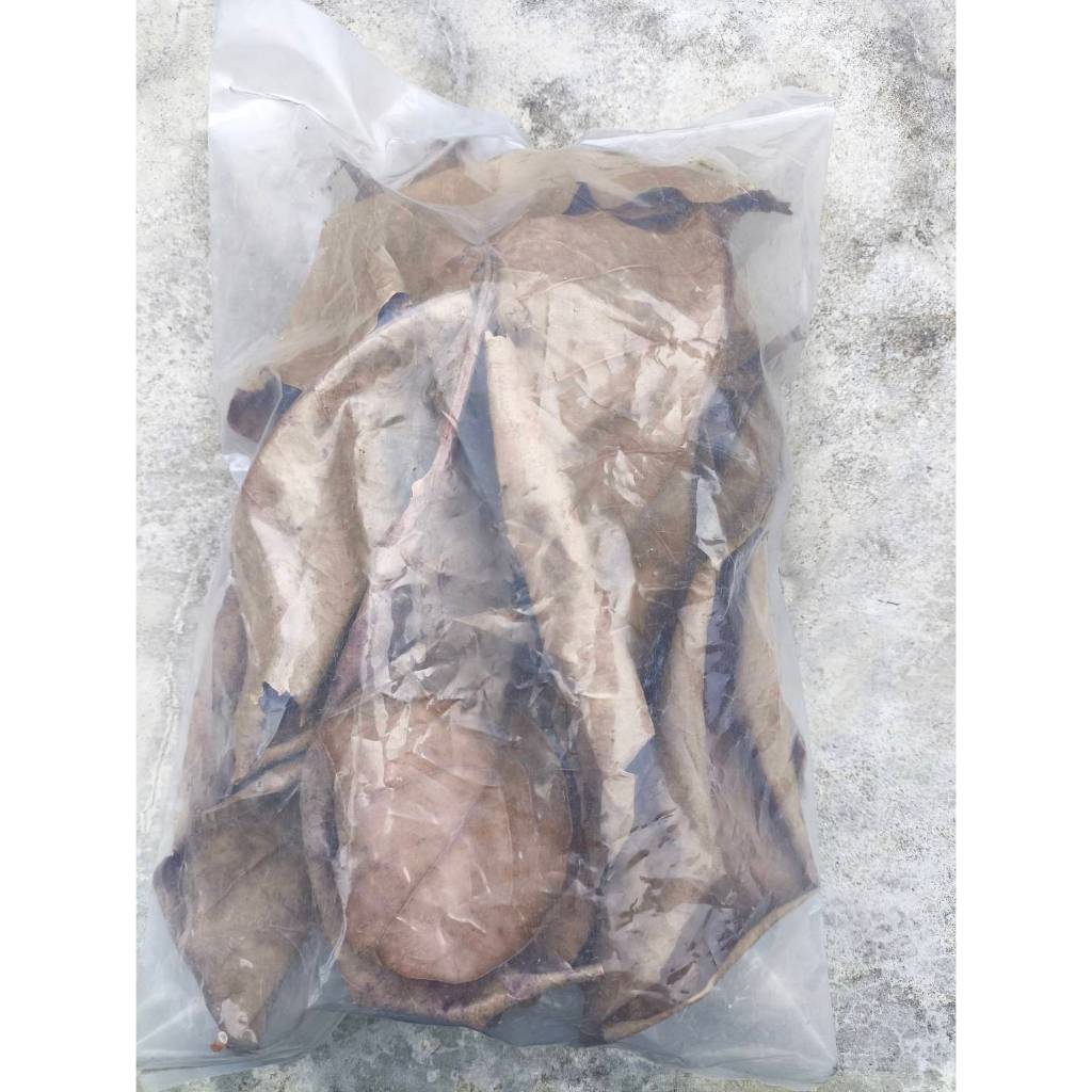 ใบหูกวางแห้ง ใบหูกวาง 1 ถุง มีประมาณ 10-15 ใบ