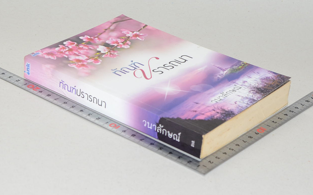 ทัณฑ์ปรารถนา (เล่มเดียวจบ)