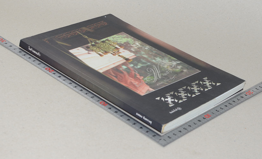 ในกำแพงแก้ว