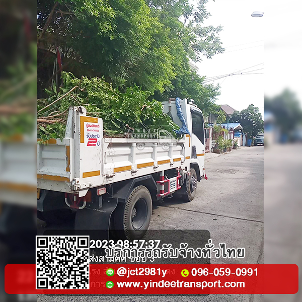 รับจ้างทิ้งใบไม้