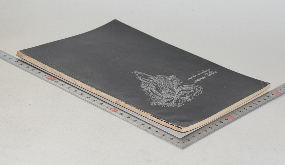 จารุวรรณ โสภโณ (คนหัวดีในทัศนะของจิตวิทยา)