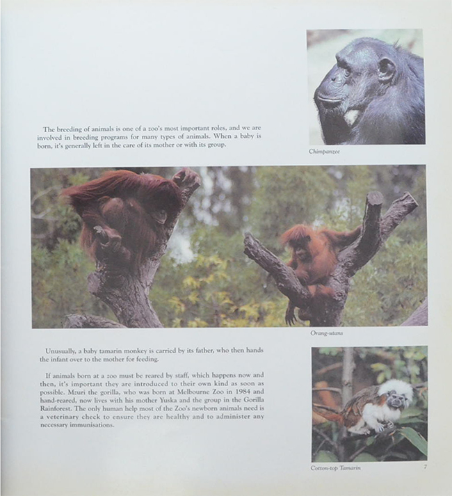 THE ROYAL MELBOURNE ZOOLOGICAL GARDENS