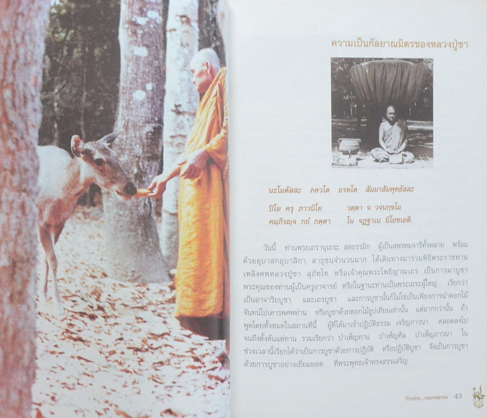 ก้าวย่าง...บนทางธรรม