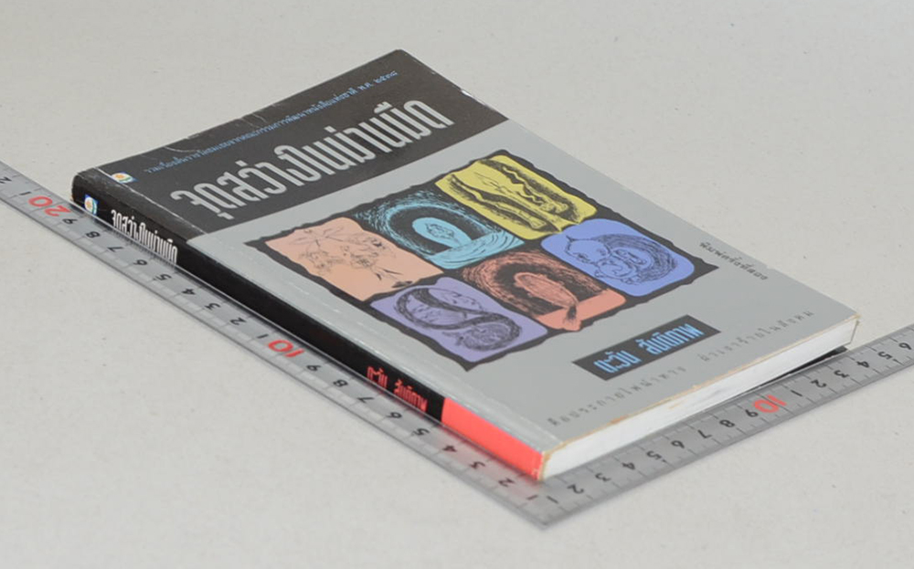 จุดสว่างในม่านมืด