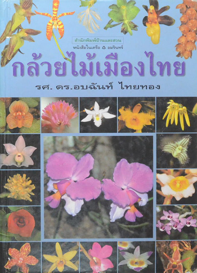 กล้วยไม้เมืองไทย (ขายตามสภาพ)