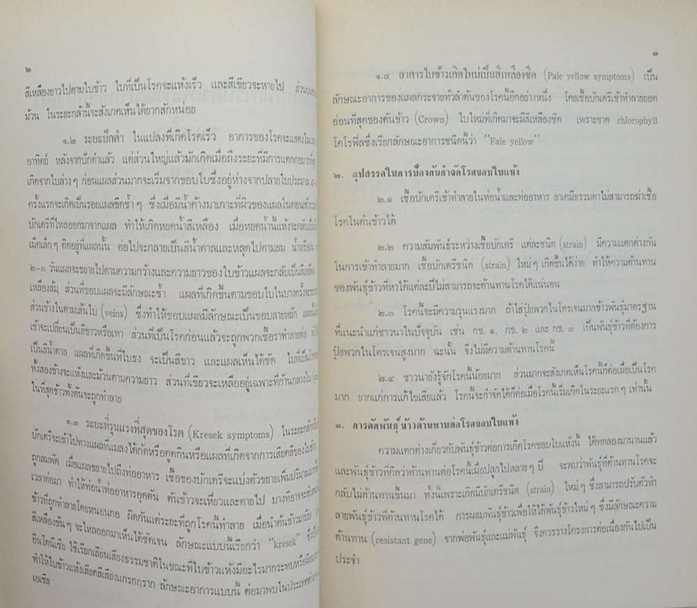 นางบุญชม วัฒนสินธุ์ (การป้องกันกำจัดโรคใบสีส้มของข้าว)