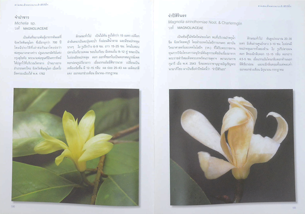 สวนสมเด็จพระนางเจ้าสิริกิติ์ (ขายตามสภาพ)