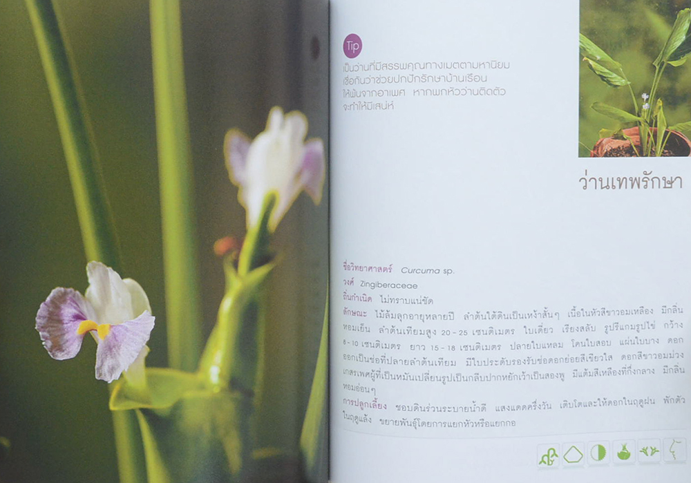 ศาสตราจารย์เกียรติคุณมงคล สีห์โสภณ (พรรณไม้นามมงคล)